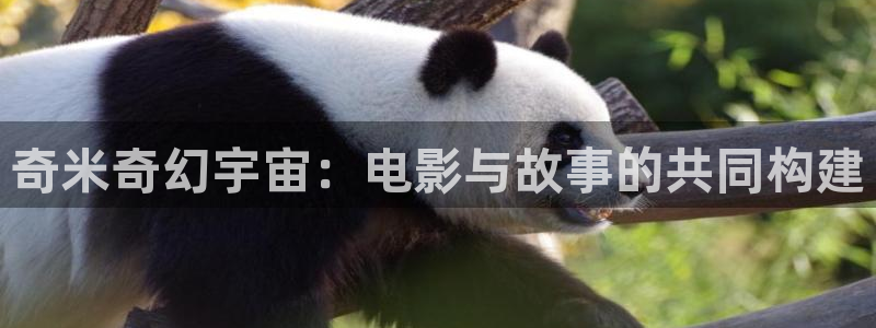 私人影院大全：奇米奇幻宇宙：电影与故事的共同构建