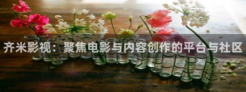 vv4480私人影院：齐米影视：聚焦电影与内容创作的平台与社区
