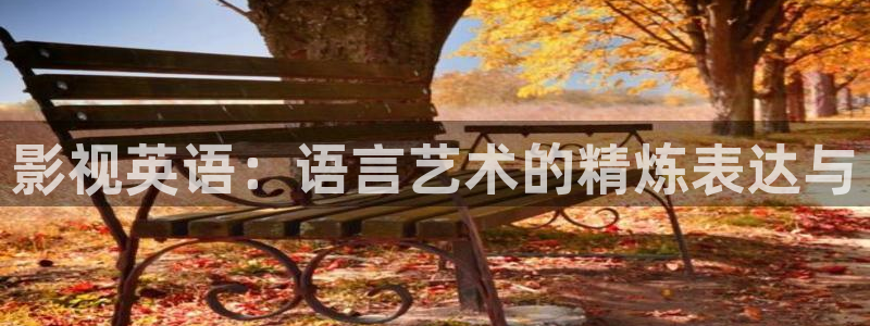 私人影院星空顶：影视英语：语言艺术的精炼表达与