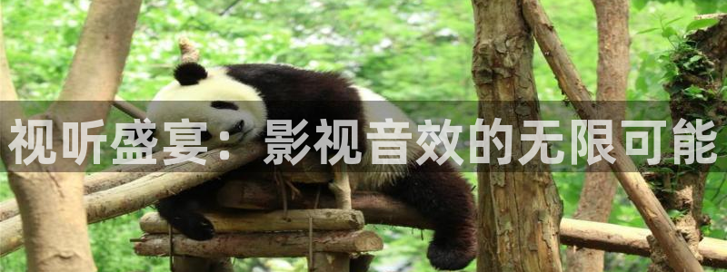 便宜的私人影院：视听盛宴：影视音效的无限可能